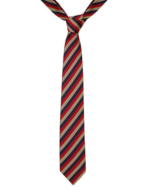 multi colored micro fiber tie - 15114620 - Very Small Image - 1